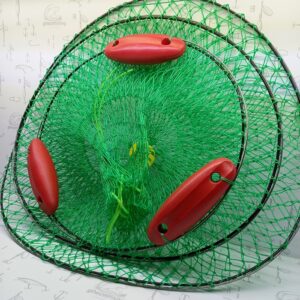 زنده نگه دار
